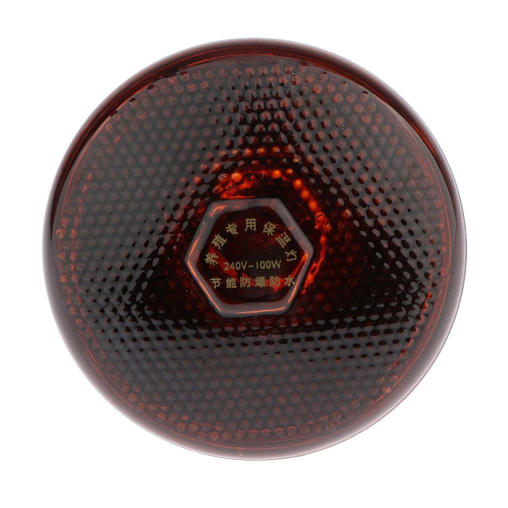 Waterproof E27  Bulb Breeding Lamp Infrared Heater Bulbs 100W