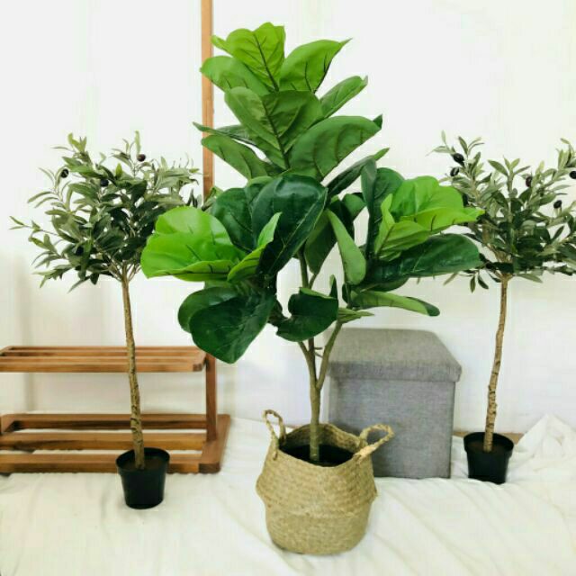 Cây bàng Singapore giả giống thật 99% - 3 nhánh - Cao 100 cm – Cây giả, hoa lụa decor trang trí rẻ, bền, đẹp