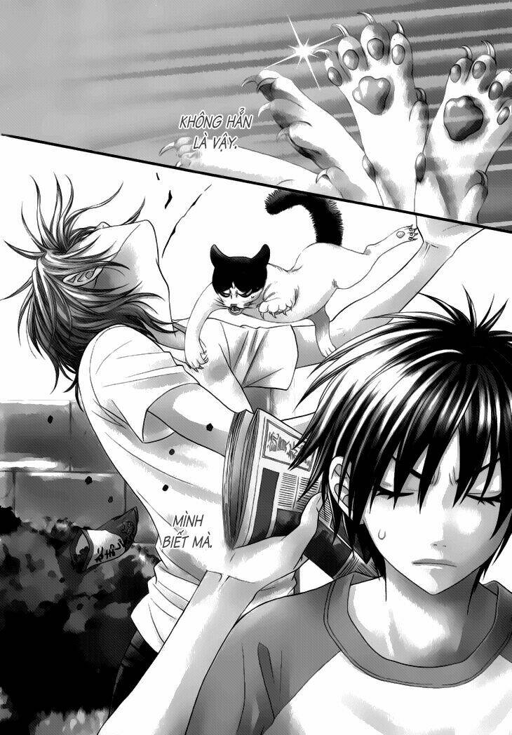 nekoka danshi no shitsukekata chapter 2 7