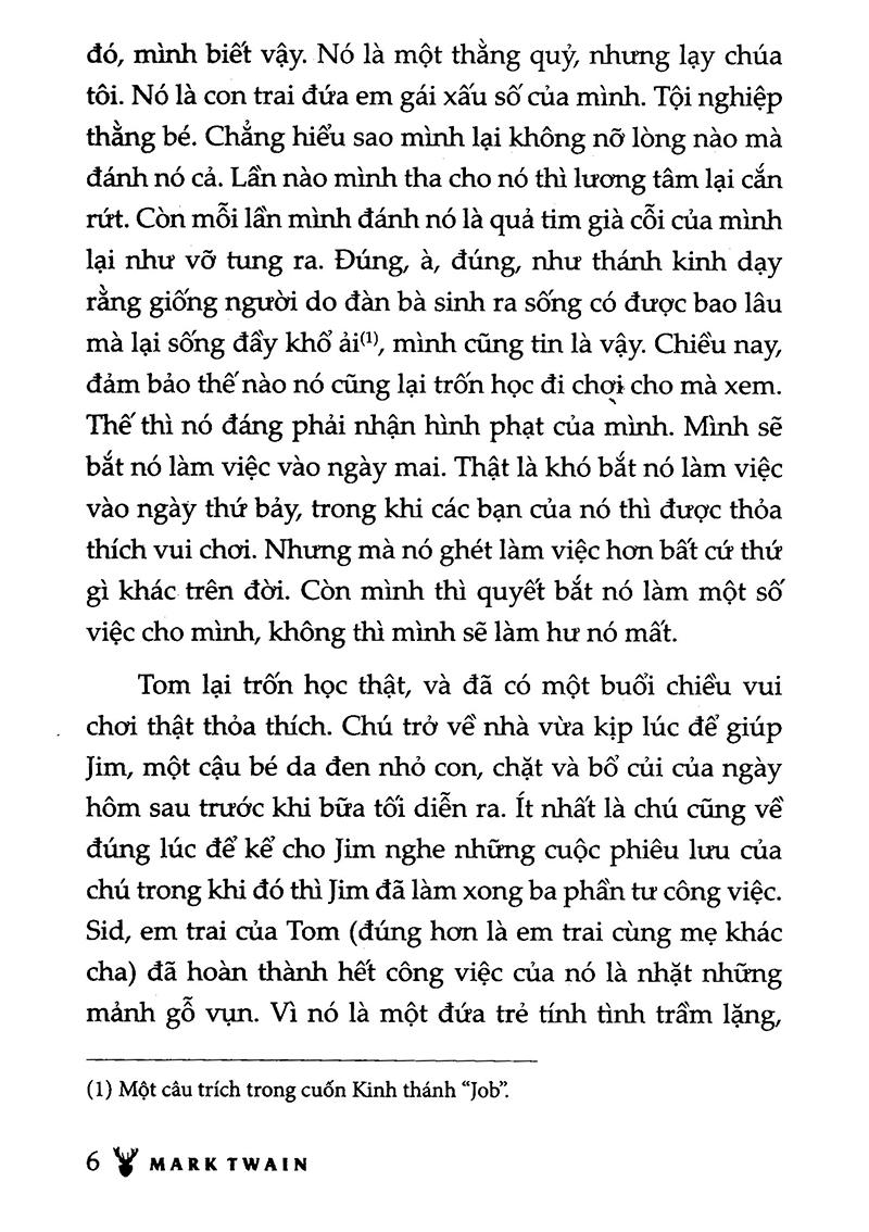 Những Cuộc Phiêu Lưu Của Tom Sawyer