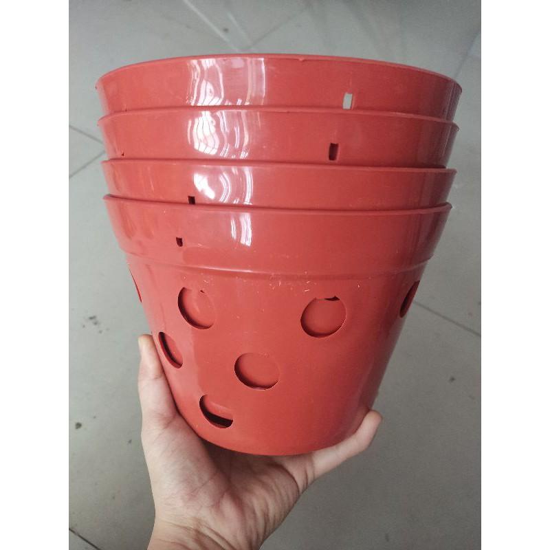 Chậu nhựa giả đất nung trồng lan đủ size