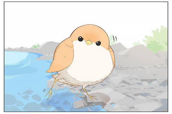 sẻ chiếu mới và nhạn phong sương chapter 8 5