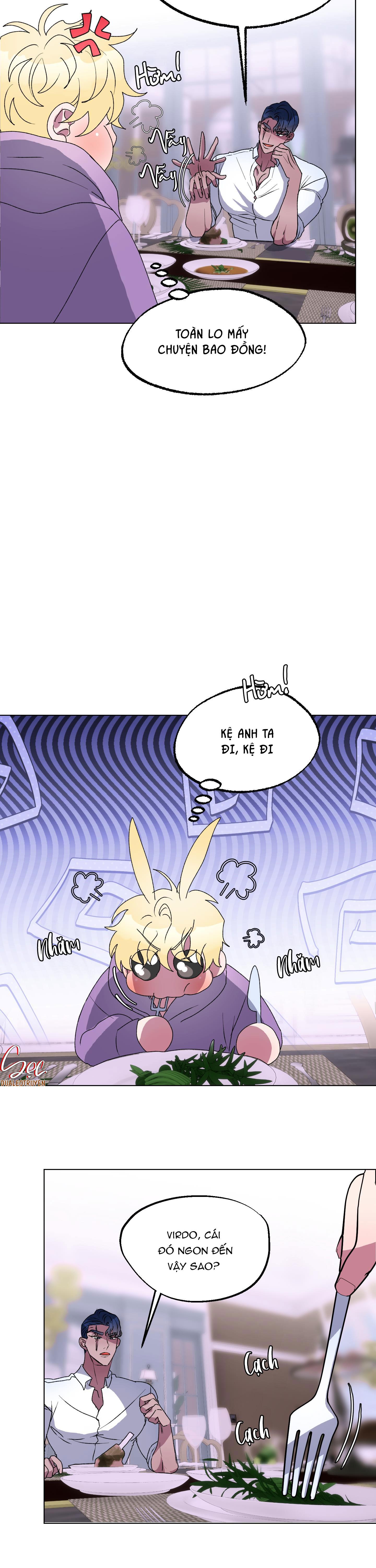 cá mập và cô dâu thỏ chapter 10 23