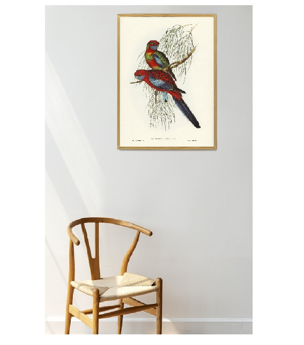 Tranh canvas treo tường Chim phong cách vintage cổ điển-Chiem vẹc miền nhiệt đới,Tranh Canvas PVP-DC162, Kèm khung màu gỗ.