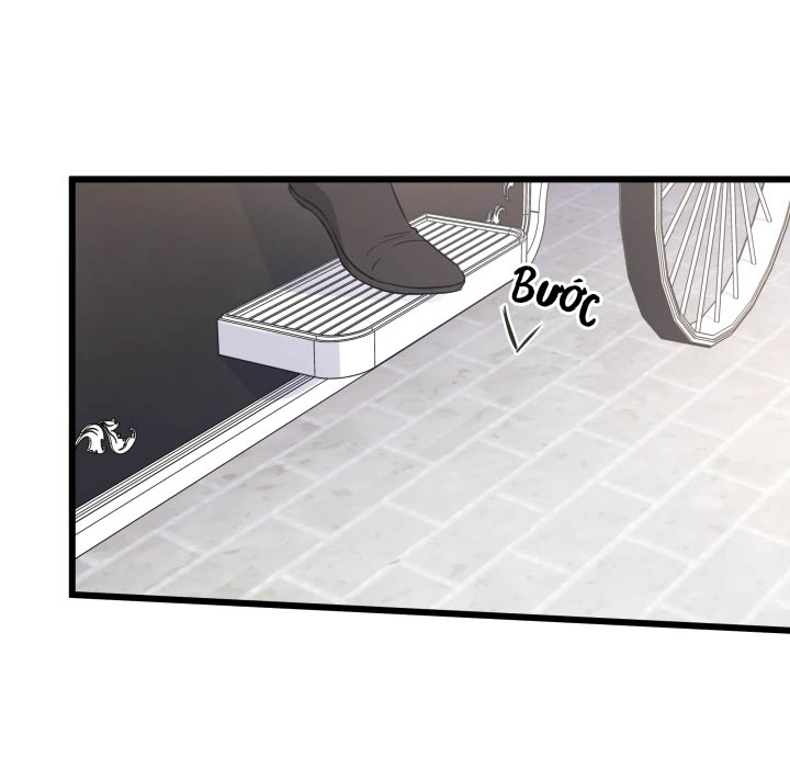 mối liên kết giữa báo đen và bé thỏ chapter 6 54