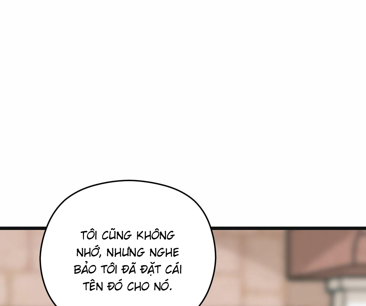 tương phùng chapter 25 28