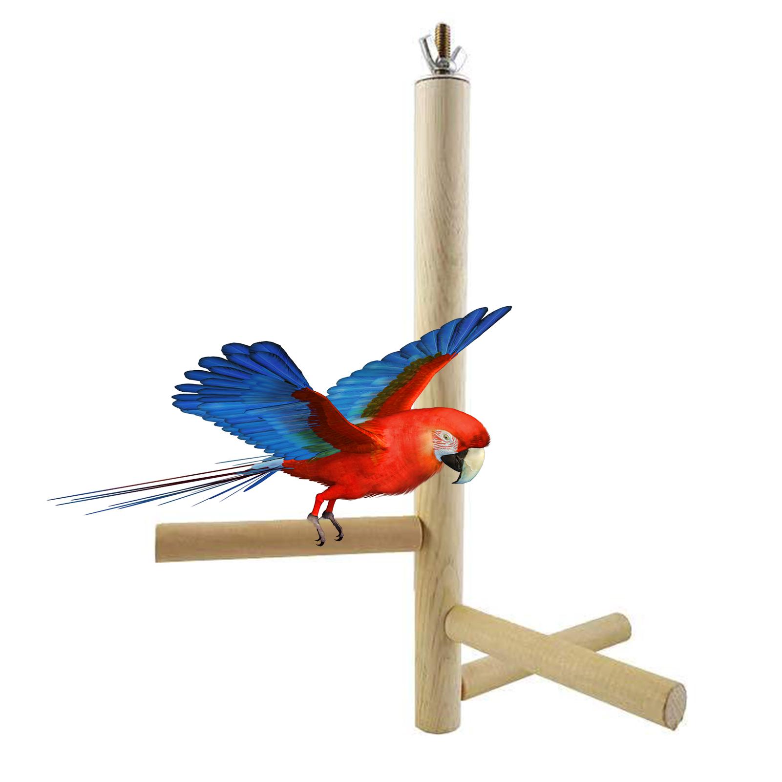 Bird Training Stand Bird Playstand Bird Perch Stand Bird Cage Toys