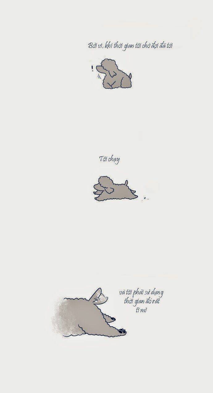 mèo con và chú chó già của tôi chapter 6 3