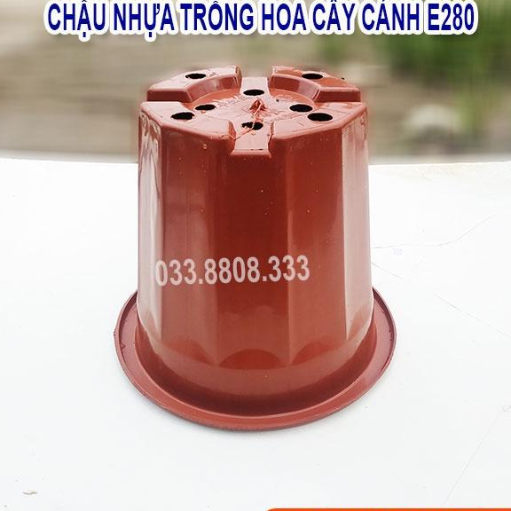 10 Chậu Nhựa Nâu Trồng Cây E280 - Chậu Bền Đẹp