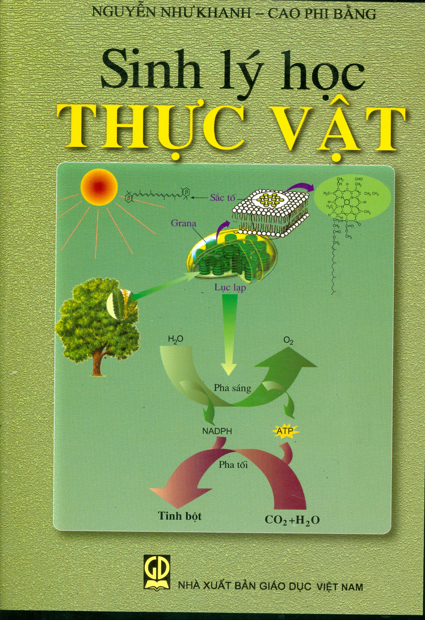 Sinh Lý Học Thực Vật