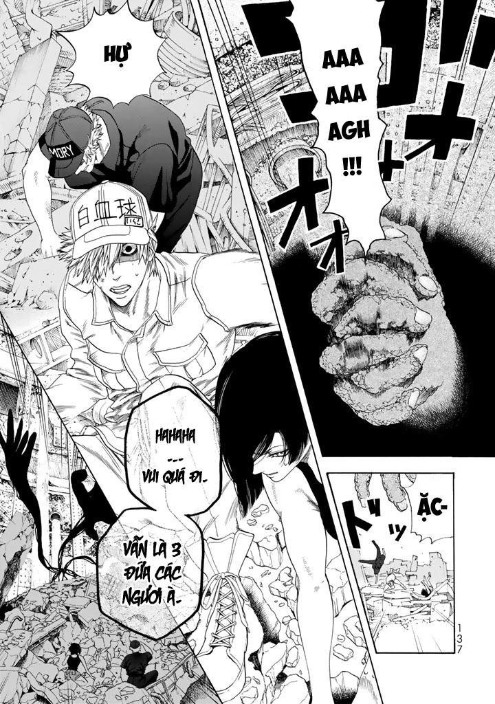 hataraku saibou! chapter 23 31