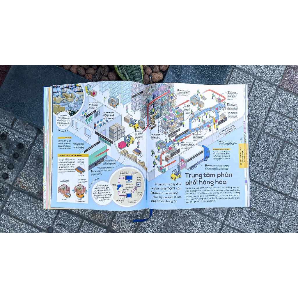 COMBO Sách 4 Quyển Bách Khoa Tự Nhiên - DK