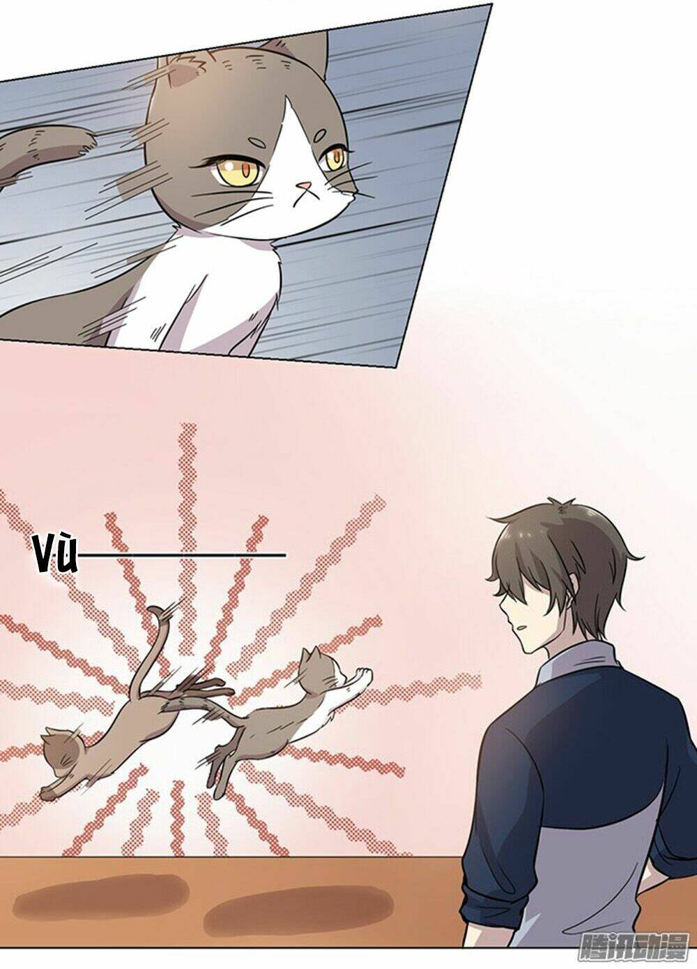 hai chú mèo totem chapter 30 8