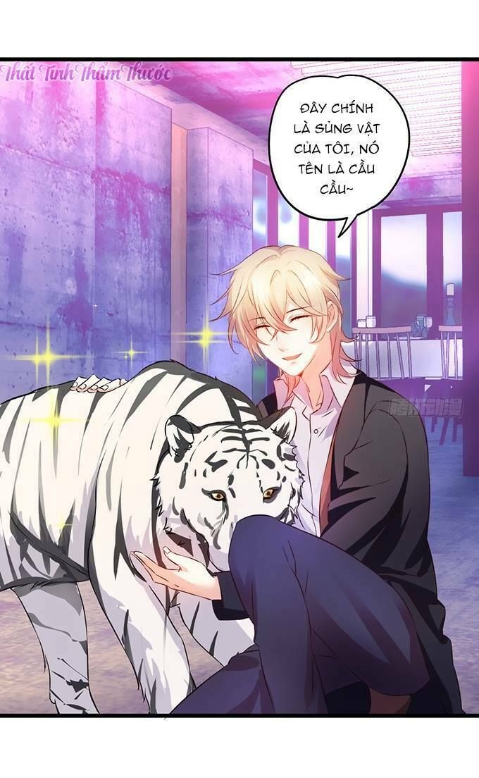 Hắc Đạo Này Có Chút Manh chapter 13 12