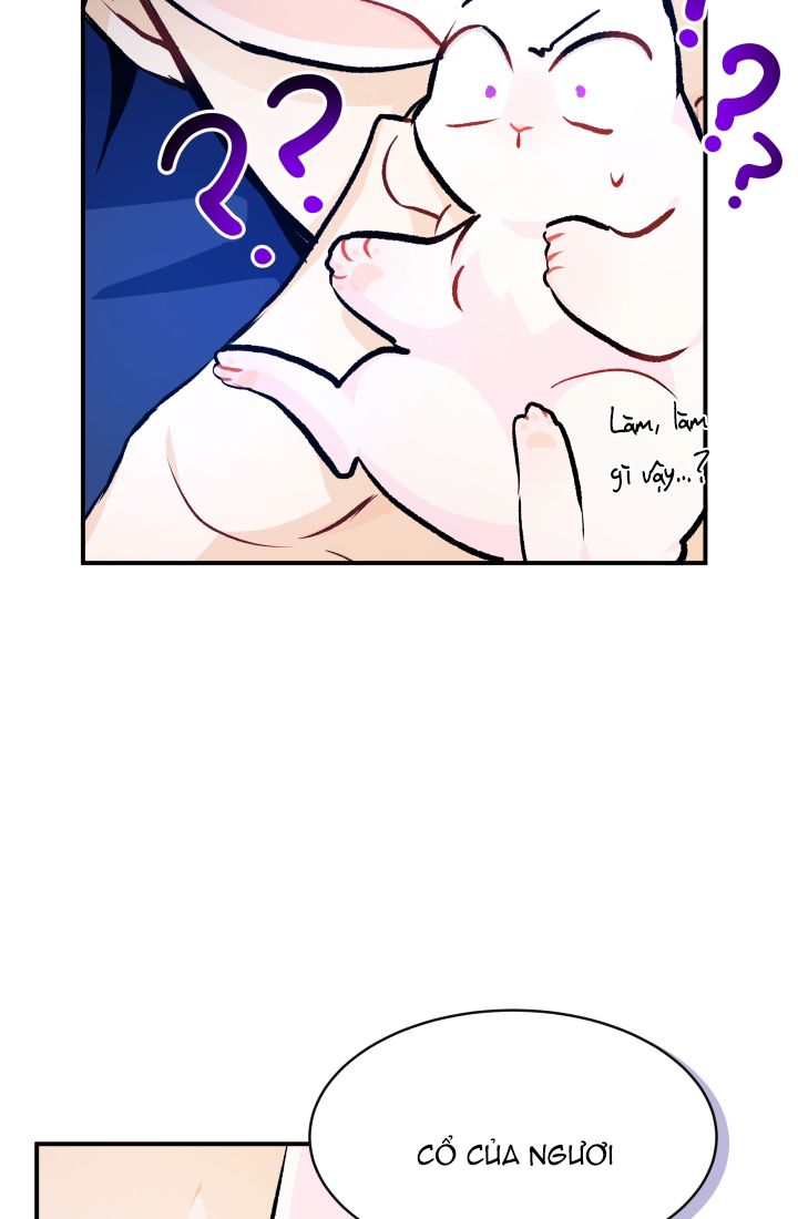 mối liên kết giữa báo đen và bé thỏ chapter 4 45