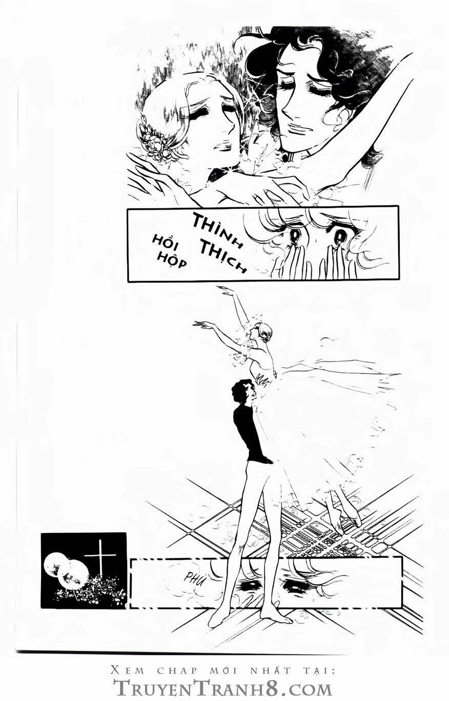 swan - vũ khúc thiên nga chapter 95 18