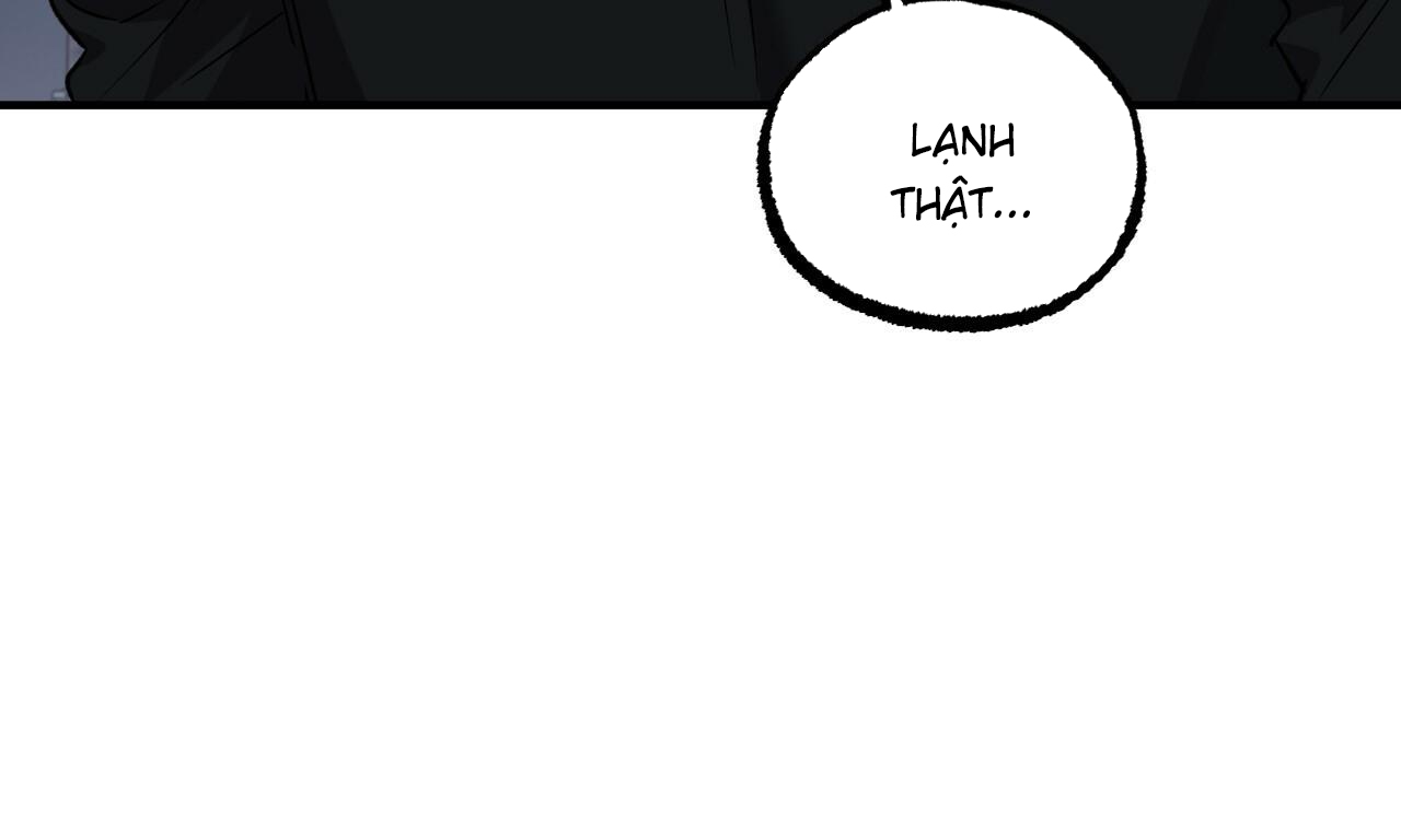 đàn thỏ của habibi chapter 55 24