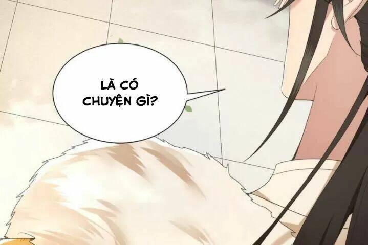 phượng hoàng vu phi chapter 75 23