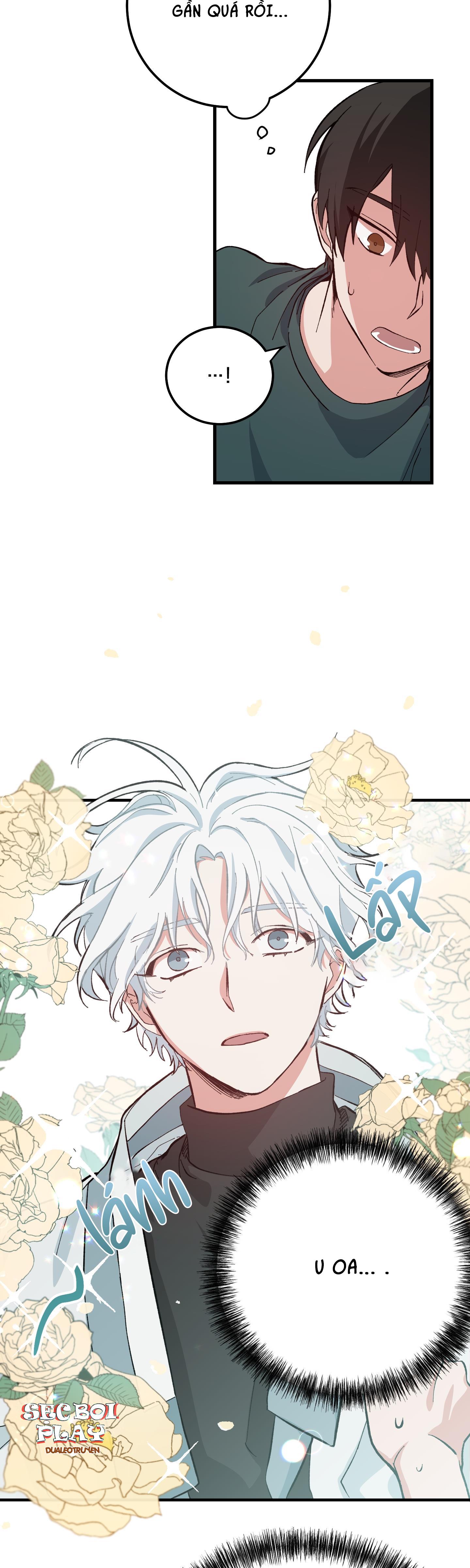 yêu tôi đi, thần hộ mệnh chapter 2 2