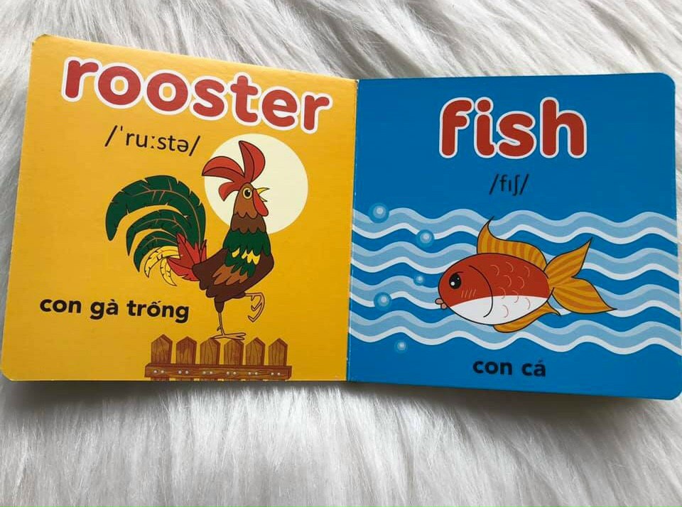 Từ điển hình ảnh đầu tiên cho bé khám phá thế giới - My first picture book
