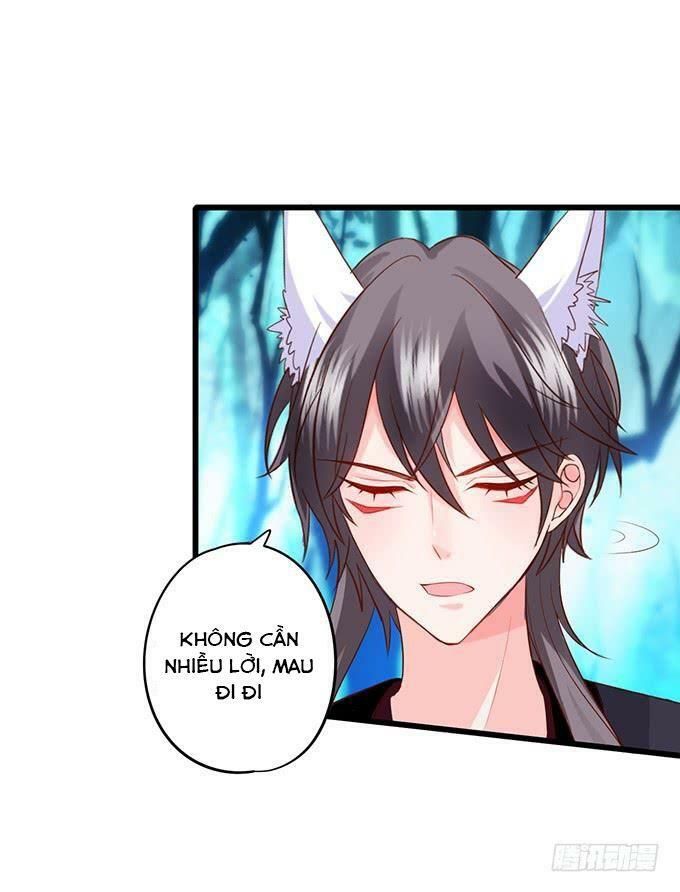 hồ tiên hung bạo chapter 142 26