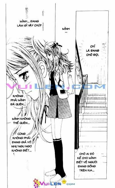 tìm lại tình yêu chapter 39 1