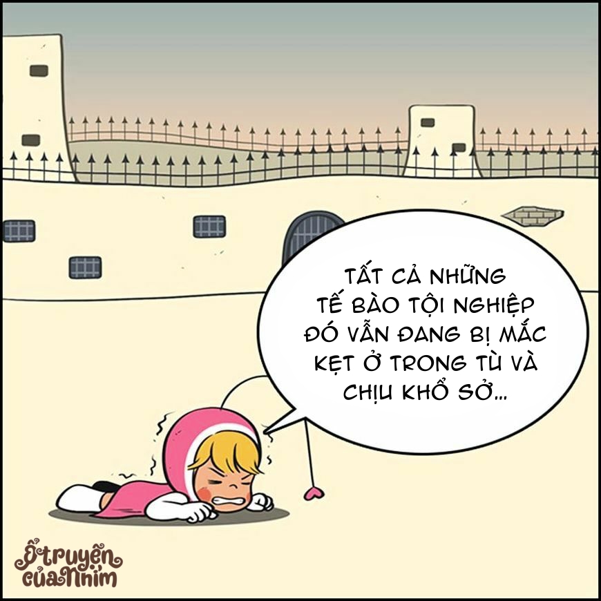 yumis cells chapter 56 2