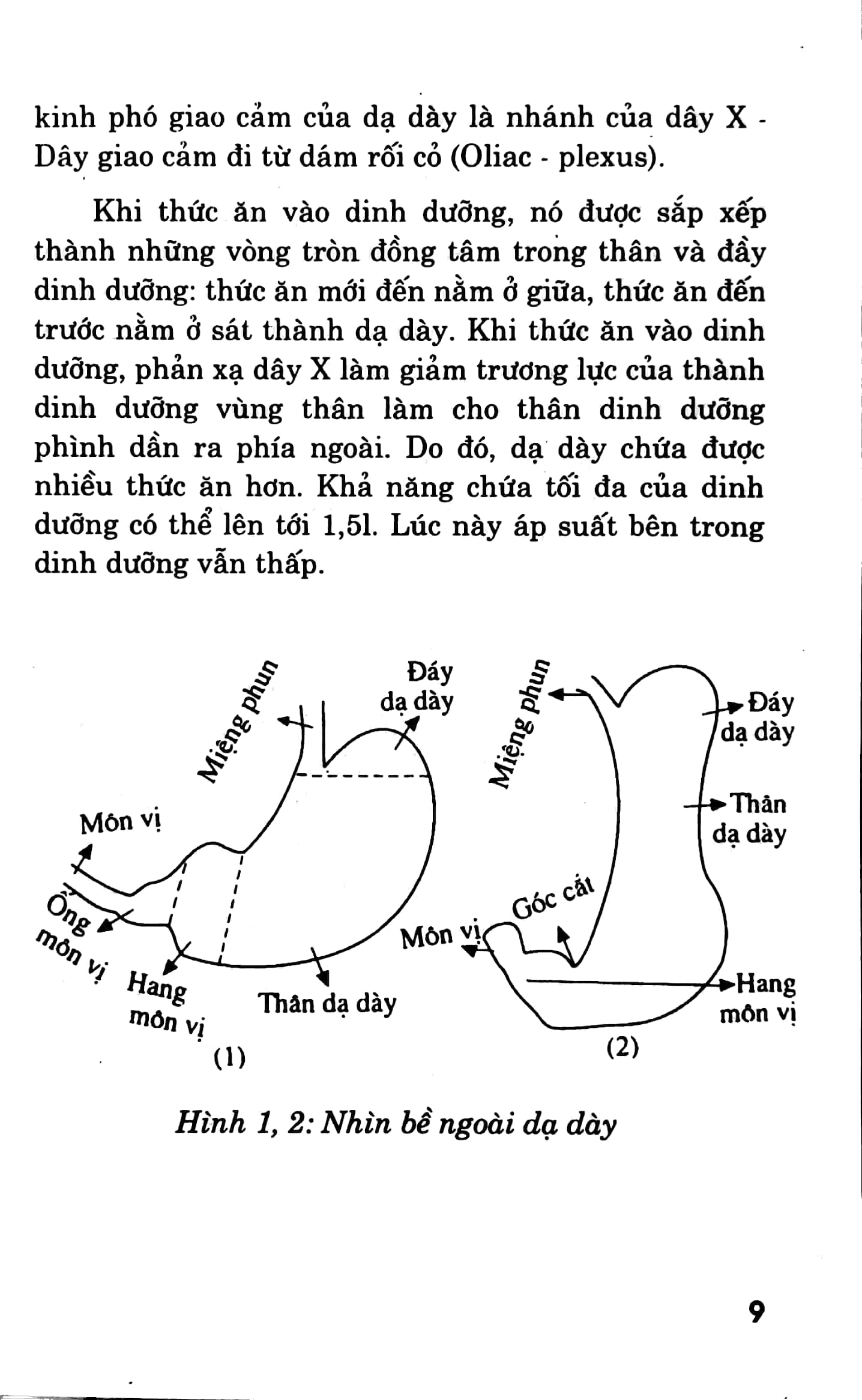 Các Phương Pháp Chữa Trị - Bệnh Dạ Dày