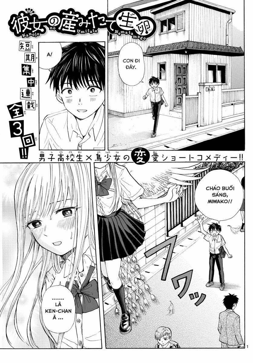 kanojo no umitate namatamago chapter 1 4