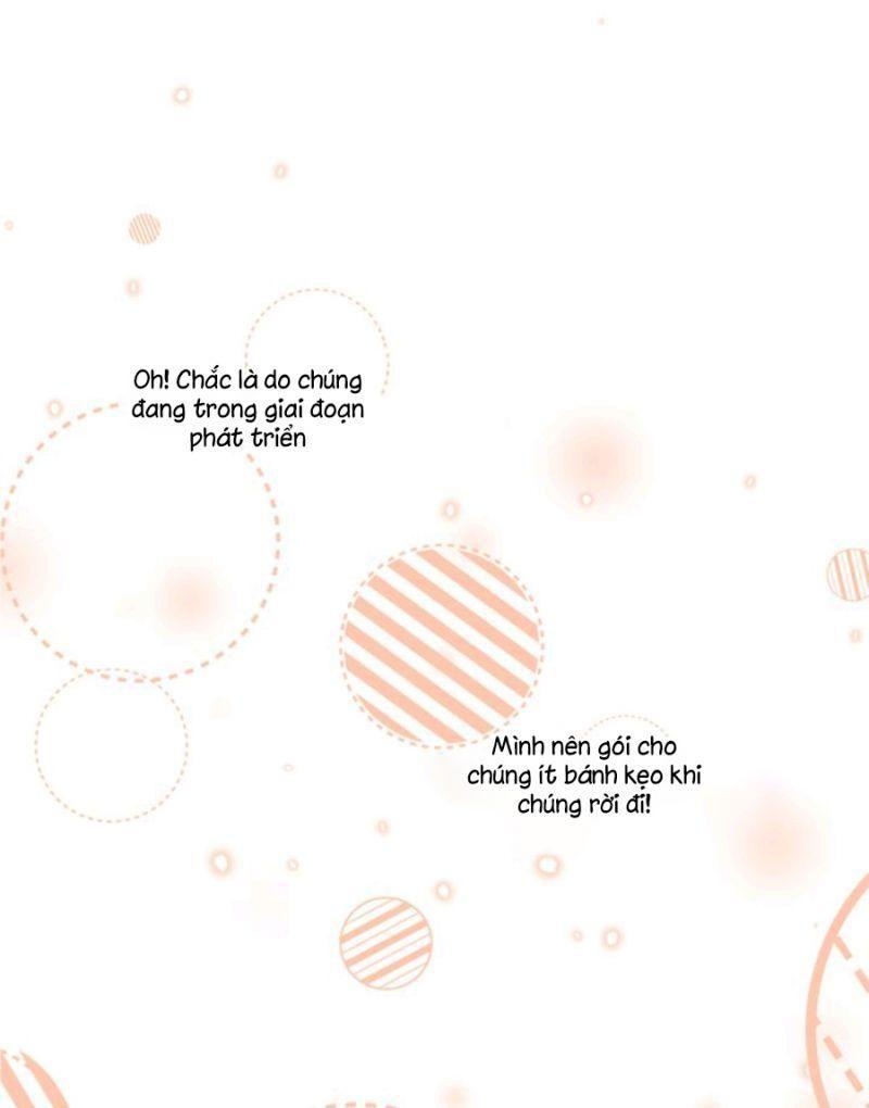 đi theo dấu vụn bánh chapter 3 43