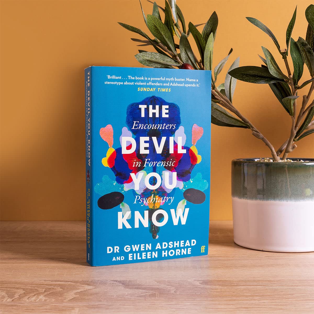Sách văn học tiếng Anh - Devil You Know