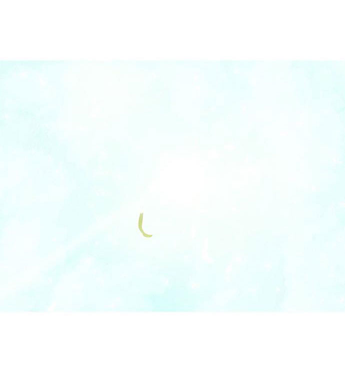 liệu rắn có ăn hoa chapter 7 43