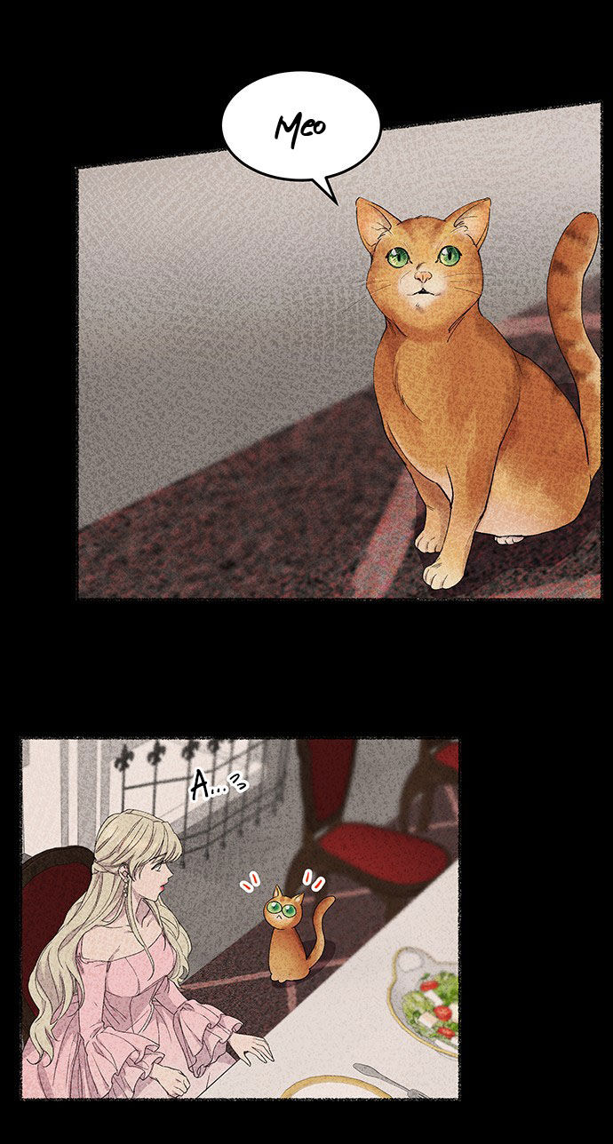 như gió trên cành cây khô chapter 50 46