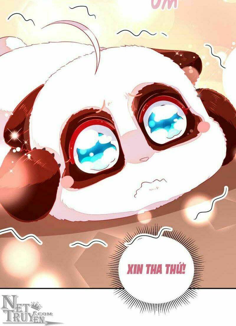 thiên thần gấu trúc muốn được ôm chapter 42 10