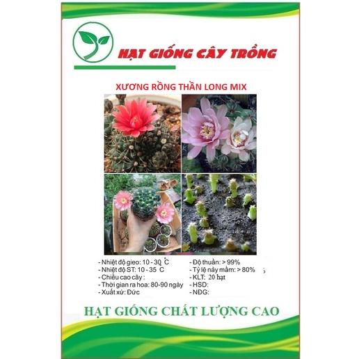 Hạt giống hoa xương rồng thân long mix màu CT48 - Gói 20 hạt