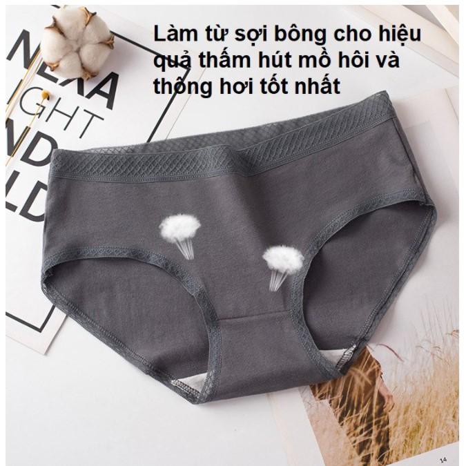 Quần lót cotton viền ren sexy quyến rũ thấm hút mồ hôi