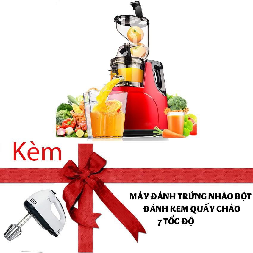 Máy ép chậm cỡ lớn cao cấp RH-312 - kèm máy đánh trứng ép rau củ hoa quả các loại hạt siêu nhanh và dễ dàng