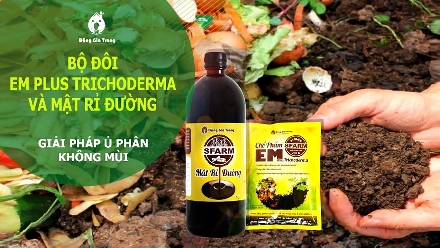 Combo 1 Túi Chế Phẩm EM Sfarm 200gr và 2 Chai Mật Rỉ Đường Sfarm 1lít - Cặp Đôi Ủ Rác Sinh Học Không Mùi