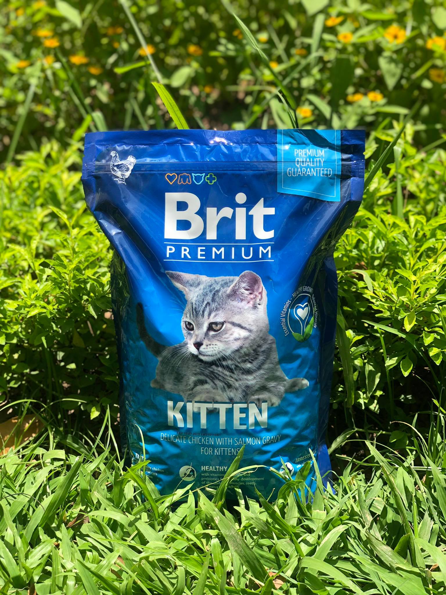 Brit Premium Cat Kitten