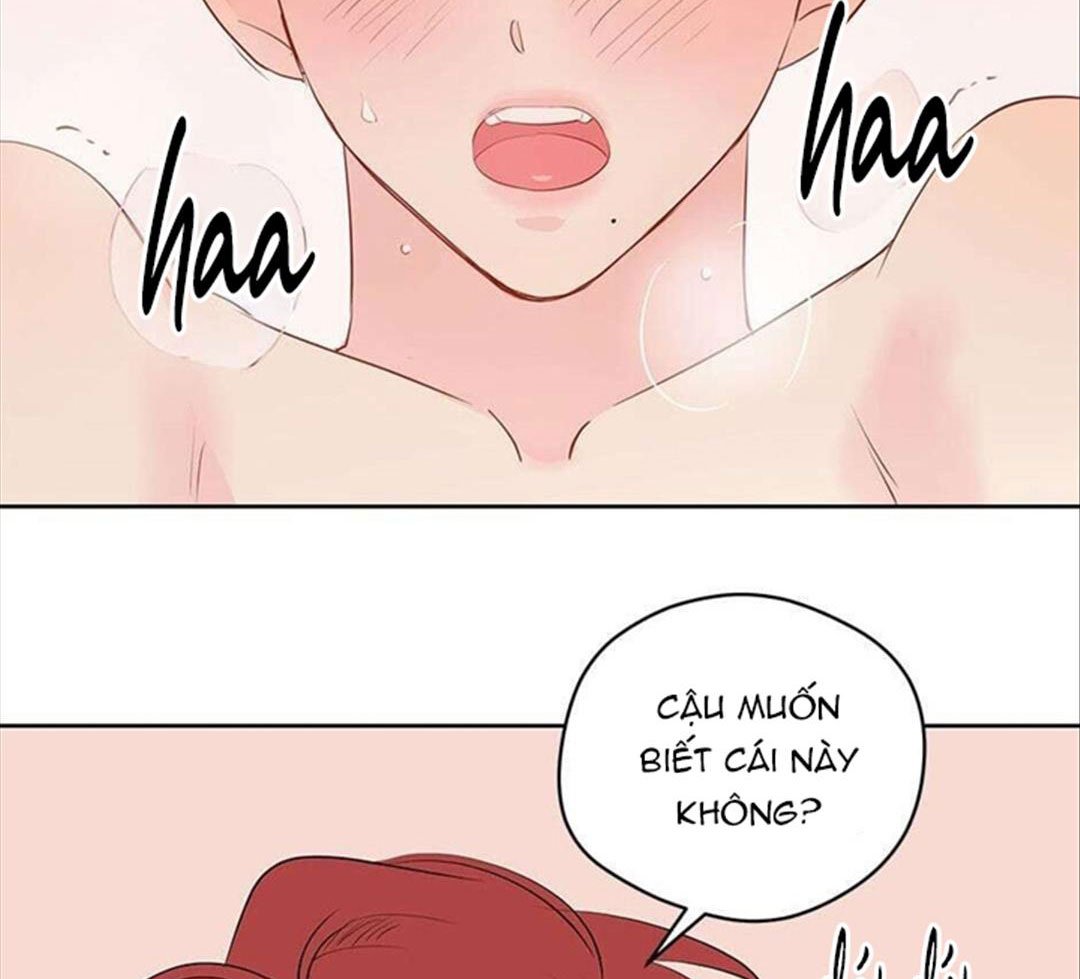 chuyện quái gì với giấc mơ đó vậy chapter 29 103