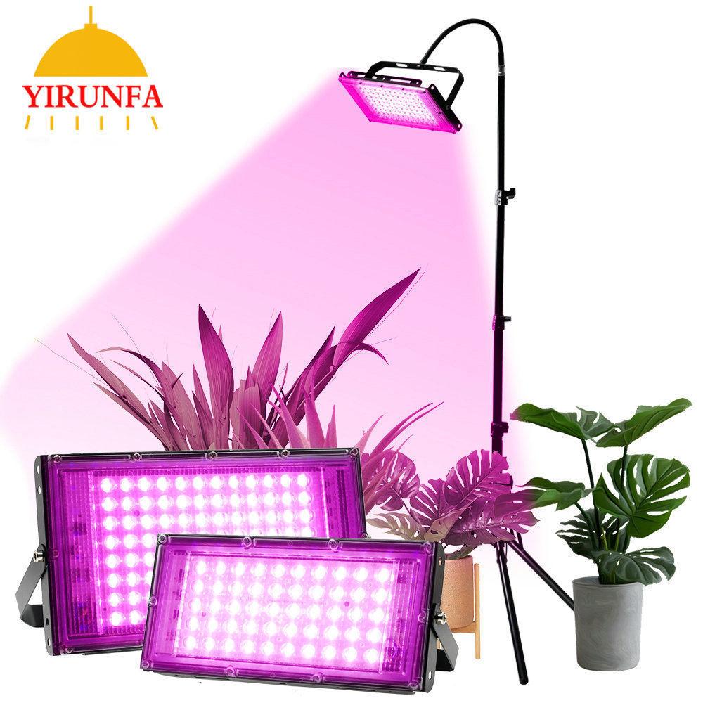 Đảm bảo chất lượng mọng nước lấp đầy ánh sáng nhà tô màu chậu lưu trữ khung ngoài trời rau xanh hoa led trong nhà lấp đầy ánh sáng