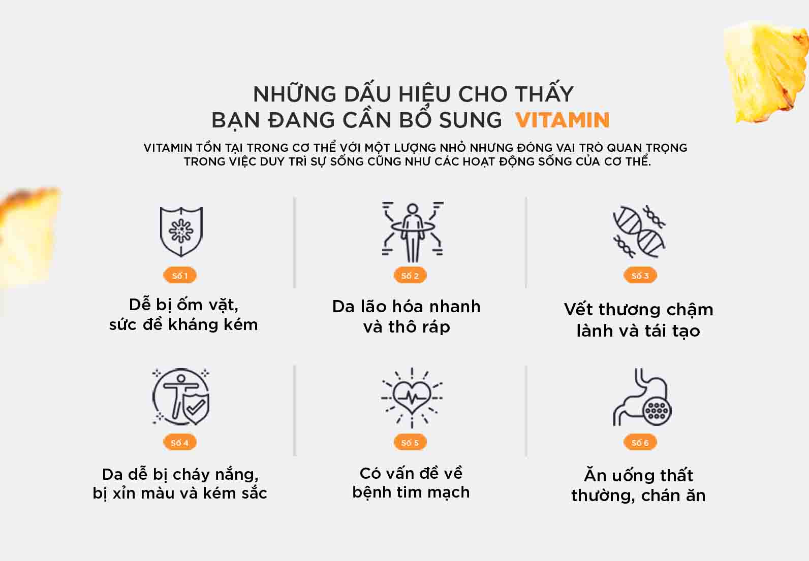 Viên uống DHC Nhật Bản Multi Vitamin Tổng Hợp 90 ngày