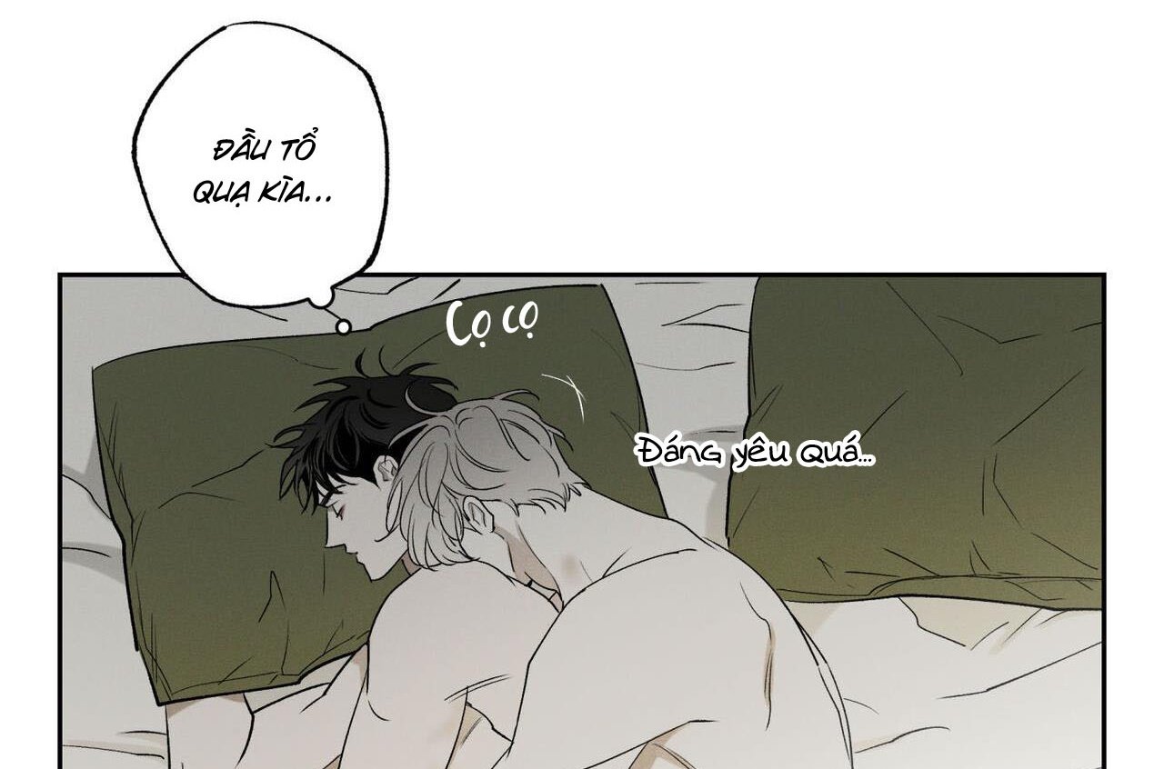 chàng giao pizza và gold palace chapter 47 164