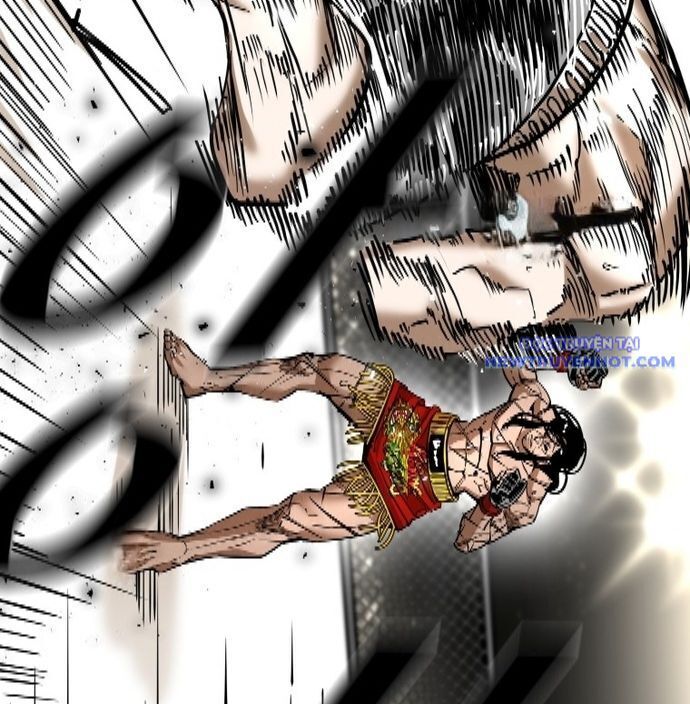 shark - cá mập chapter 337 47