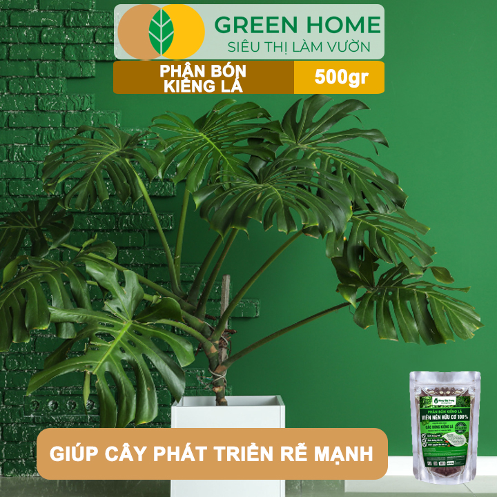 Phân Bón Kiểng Lá GreenHome, Sfarm, Bao 500gr, Chuyên Cho Các Dòng Kiểng Lá Trong Nhà Và Ngoài Trời