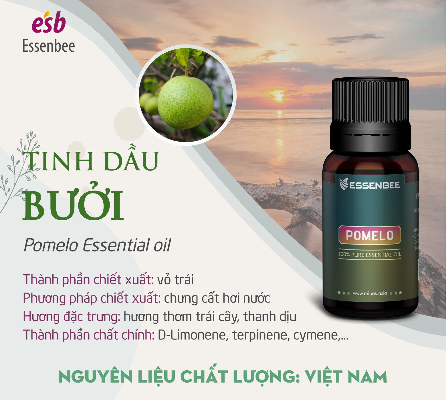 Combo 3 Tinh Dầu Essenbee: Tinh Dầu Sả Chanh (30ml) + Tinh Dầu Bưởi (30ml) + Tinh Dầu Bạc Hà Nguyên Chất (20ml)