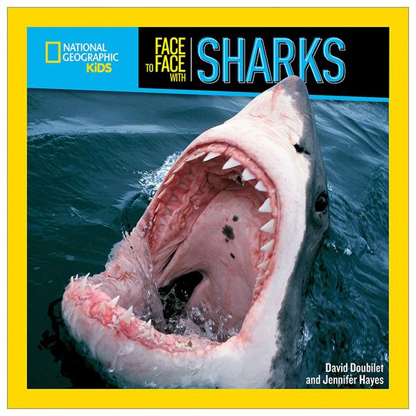 National Geographic Kids Face To Face With Sharks