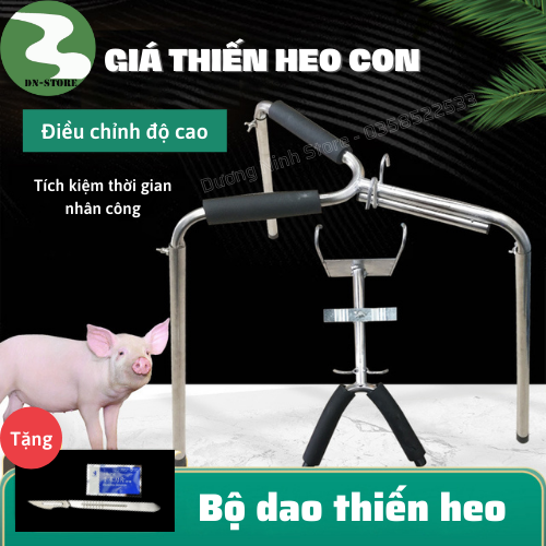 Giá thiến heo đỡ lợn con bằng inox 304 DN19