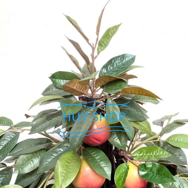 Gốc cây Trái VÚ SỮA nhân tạo trang trí nhà cửa