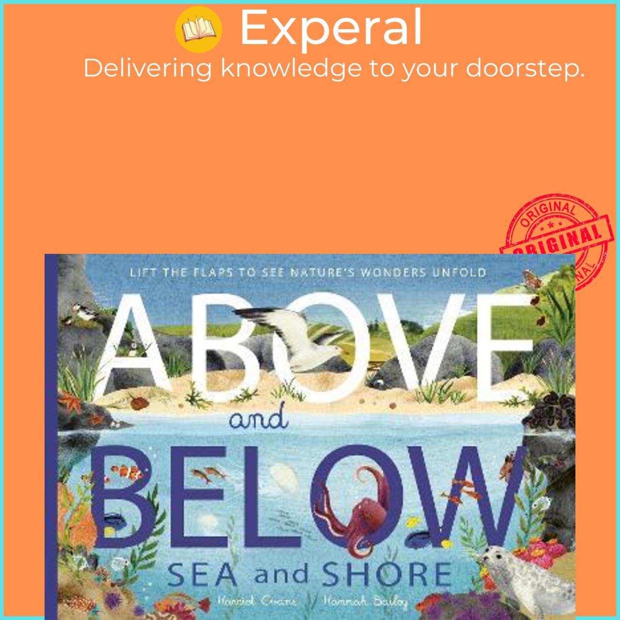 Sách - Above and Below: Sea and Shore : Lift the flaps to see nature's wonders  by Harriet Evans